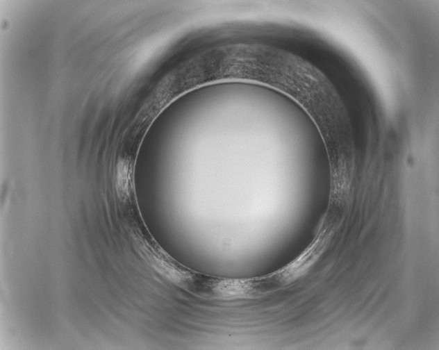 X0000059800142200510211101