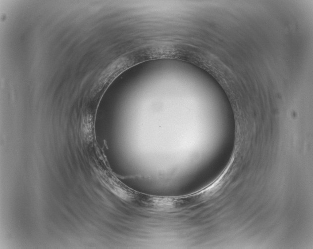 X0000059800144200510211101