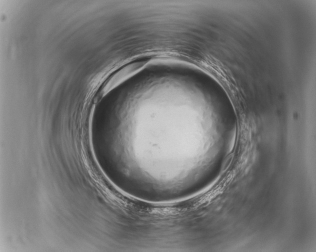 X0000059800145200510211100