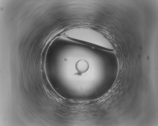 X0000059800146200510211100