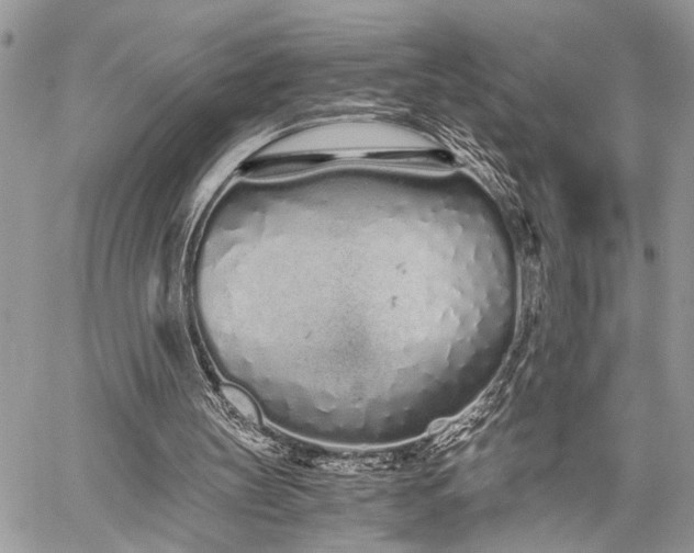 X0000059800147200510211100