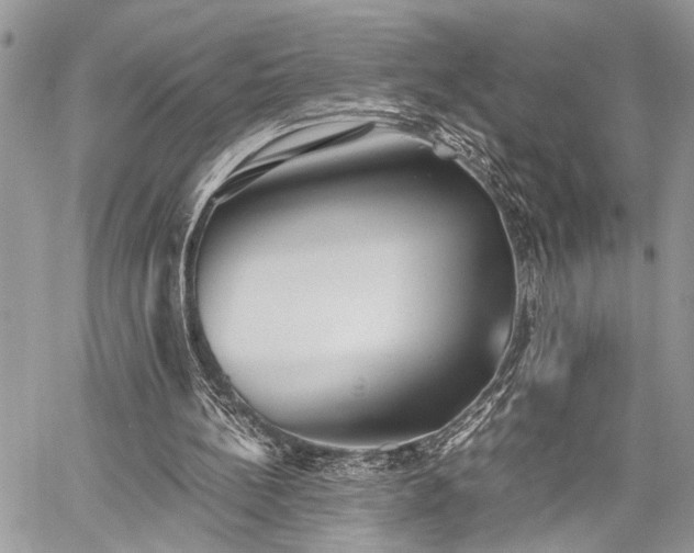 X0000059800148200510211100