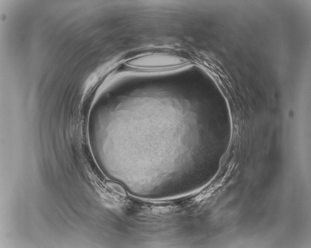 X0000059800149200510211100