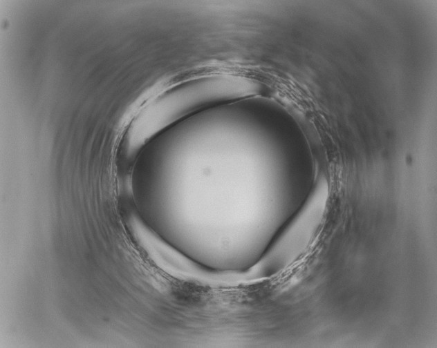 X0000059800150200510211100