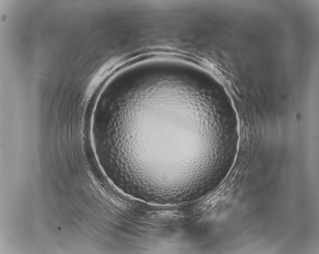 X0000059800151200510211100