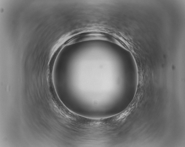 X0000059800152200510211100