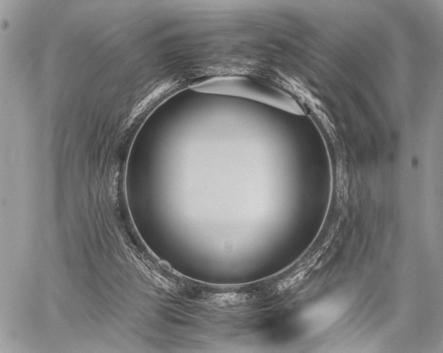 X0000059800153200510211100