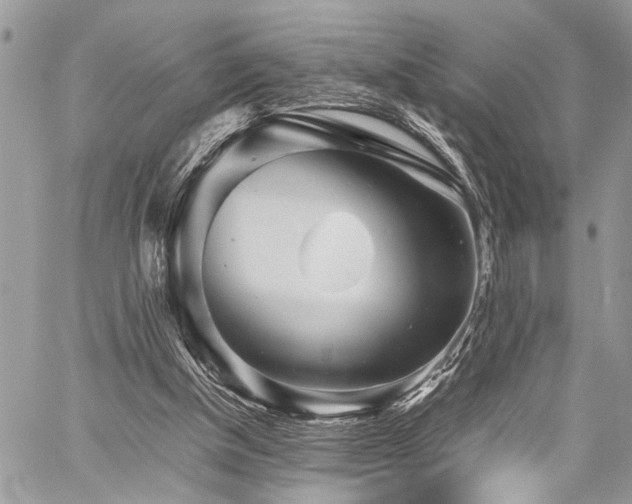 X0000059800154200510211100