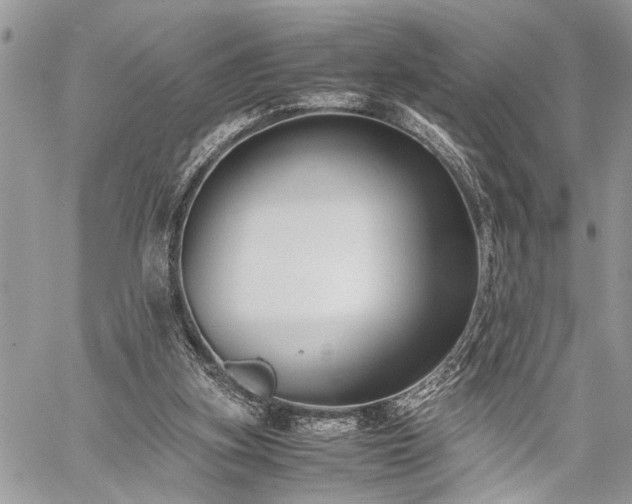 X0000059800155200510211100