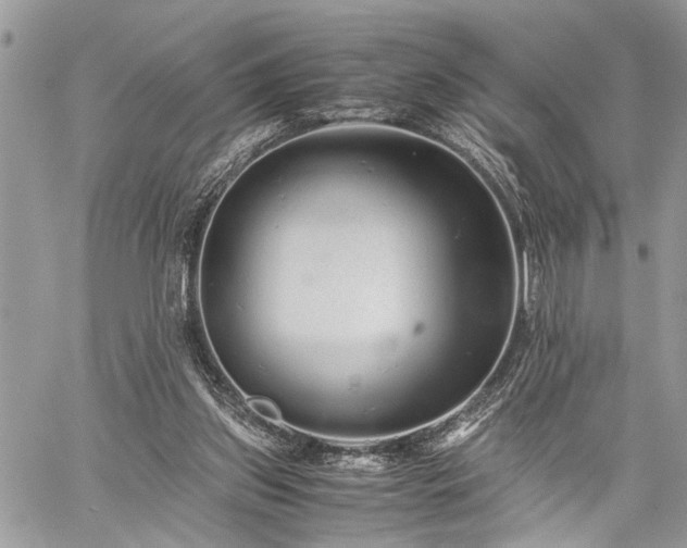 X0000059800157200510211100