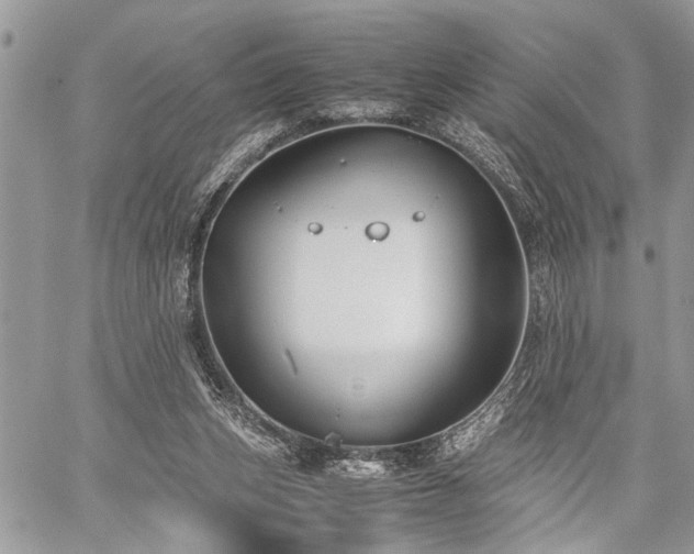 X0000059800159200510211100