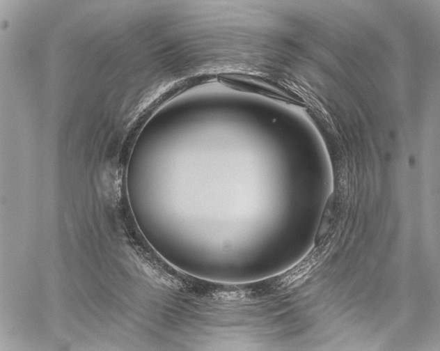 X0000059800160200510211100