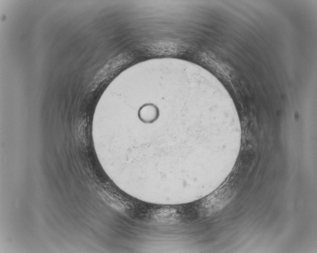 X0000059800162200510211100