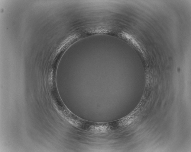 X0000059800163200510211100