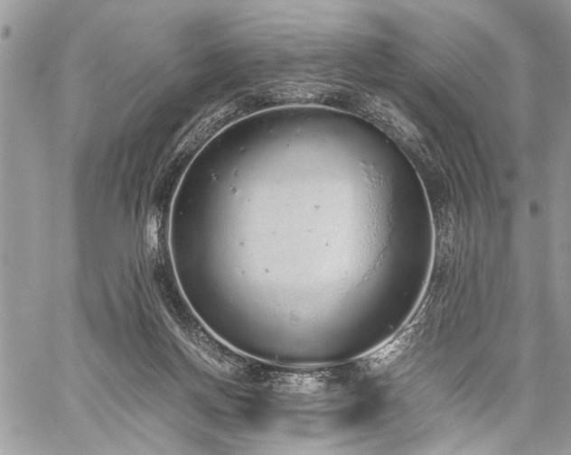 X0000059800166200510211100