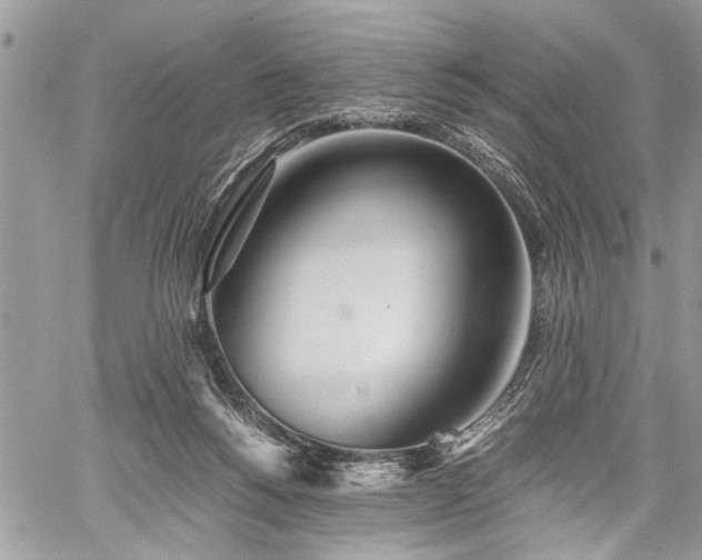 X0000059800168200510211100