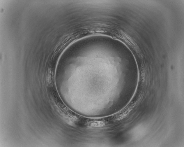 X0000059800169200510211101