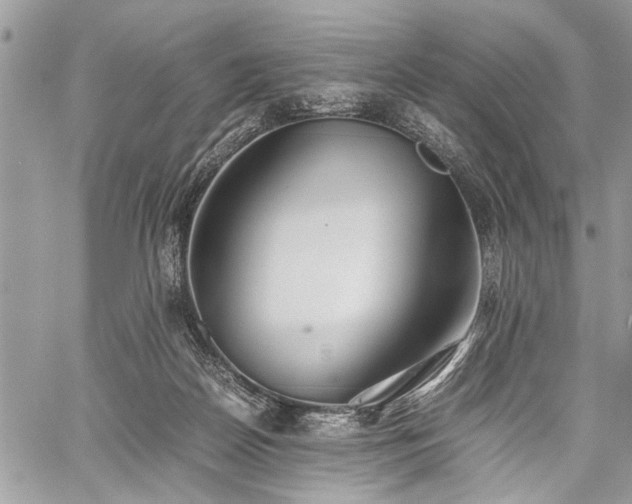 X0000059800170200510211101