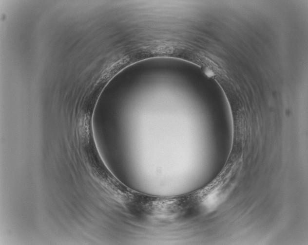 X0000059800172200510211101