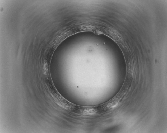 X0000059800173200510211101