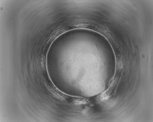 X0000059800175200510211101