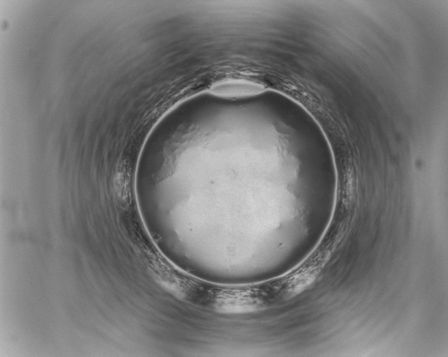 X0000059800177200510211101