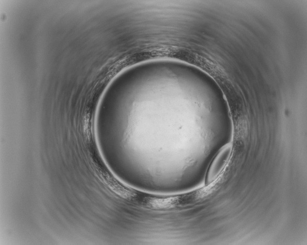 X0000059800178200510211101