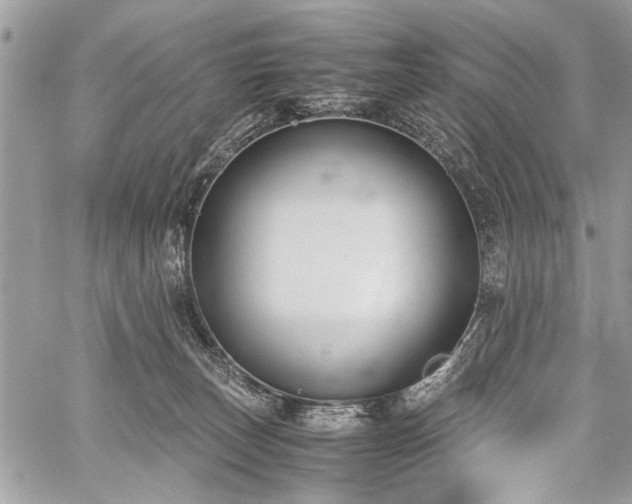 X0000059800179200510211101