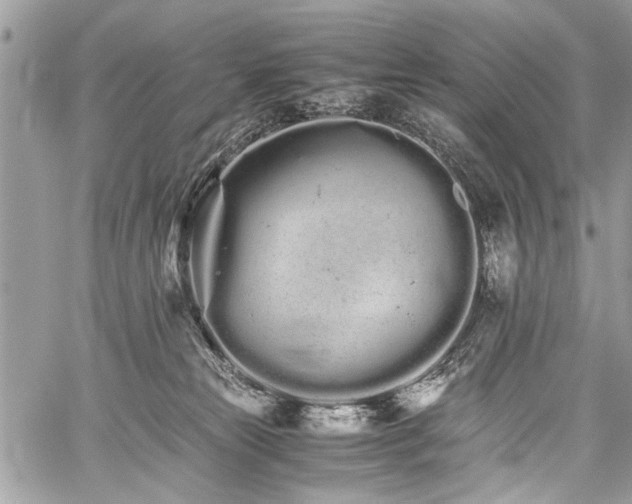 X0000059800181200510211101