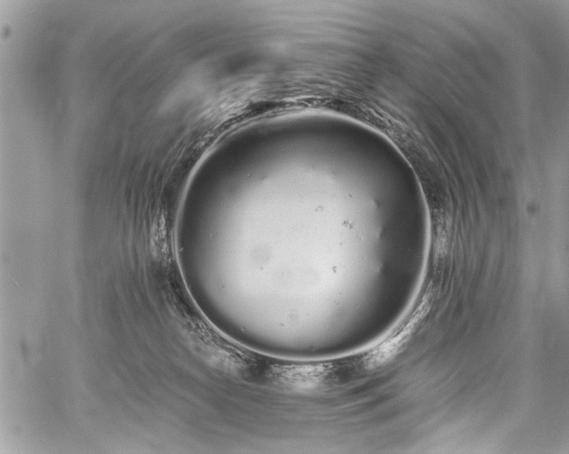 X0000059800182200510211101