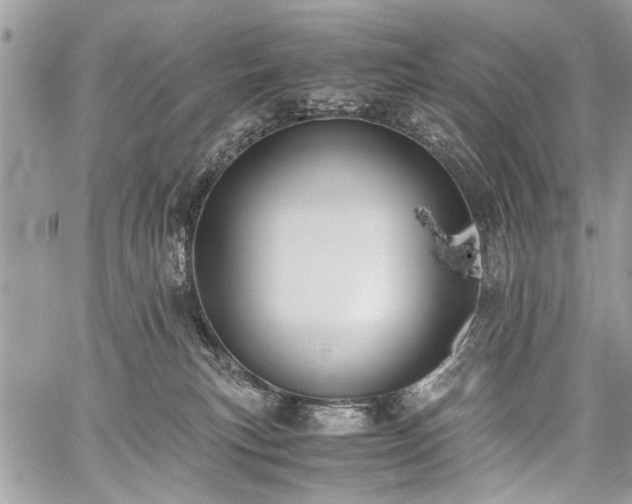 X0000059800183200510211101