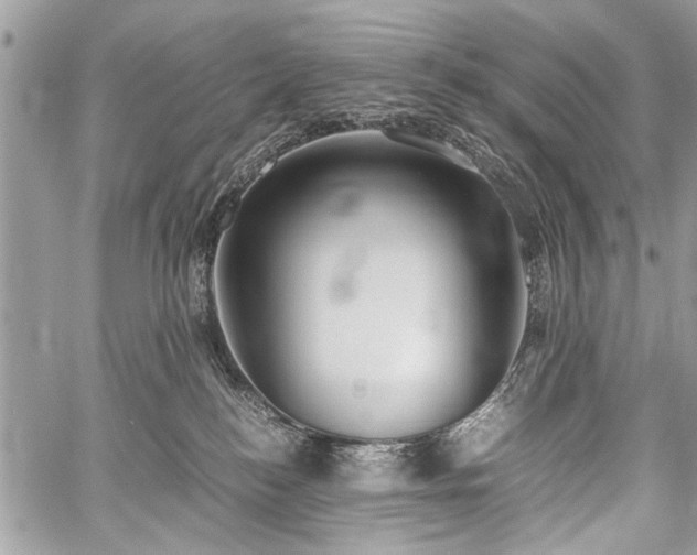 X0000059800184200510211101