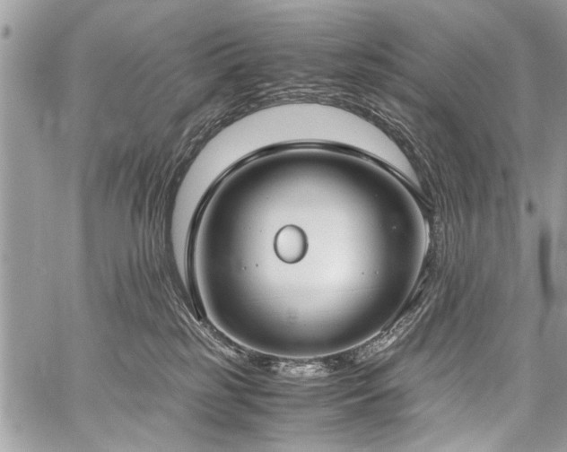 X0000059800185200510211101