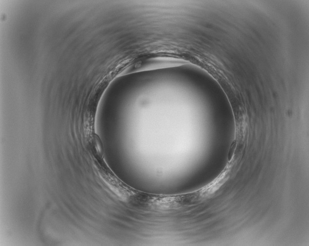 X0000059800186200510211101