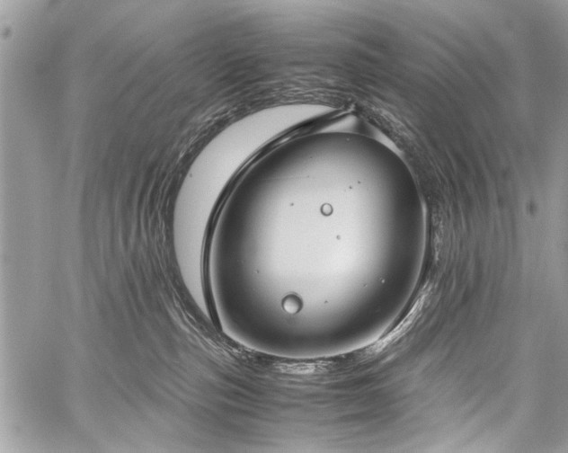 X0000059800187200510211101