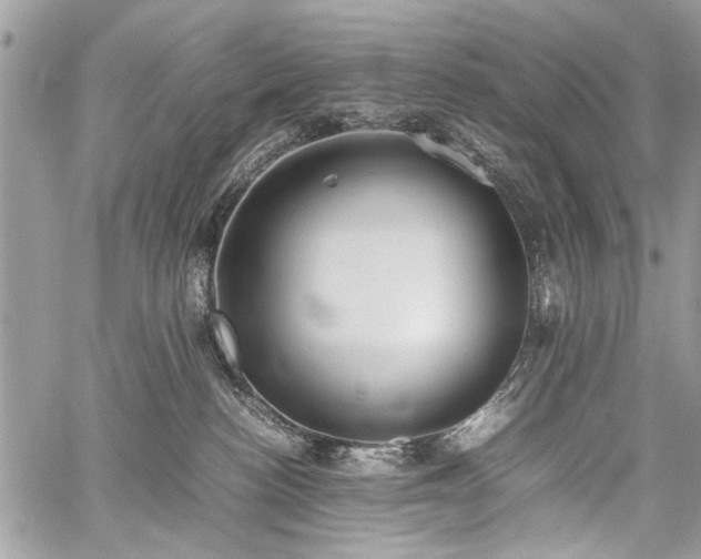 X0000059800188200510211101