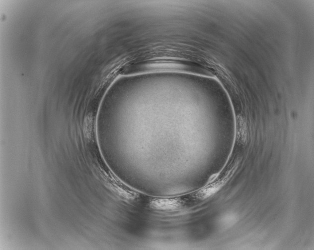 X0000059800189200510211101