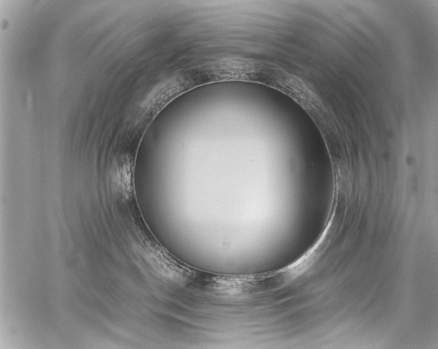 X0000059800190200510211101