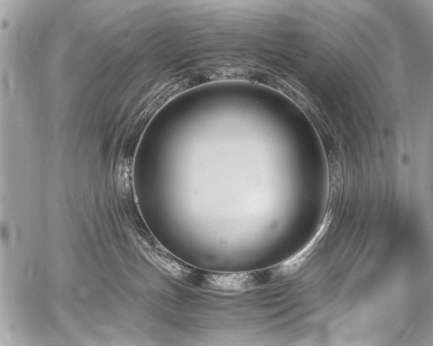 X0000059800191200510211101