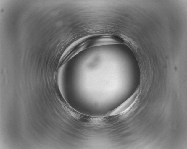 X0000059800192200510211101