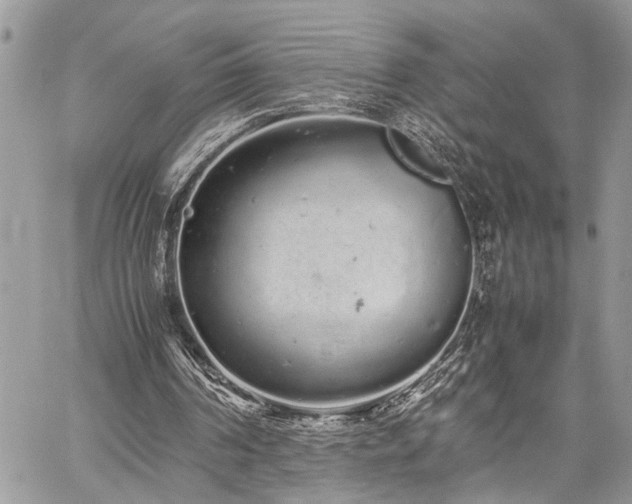 X0000059800194200510211100