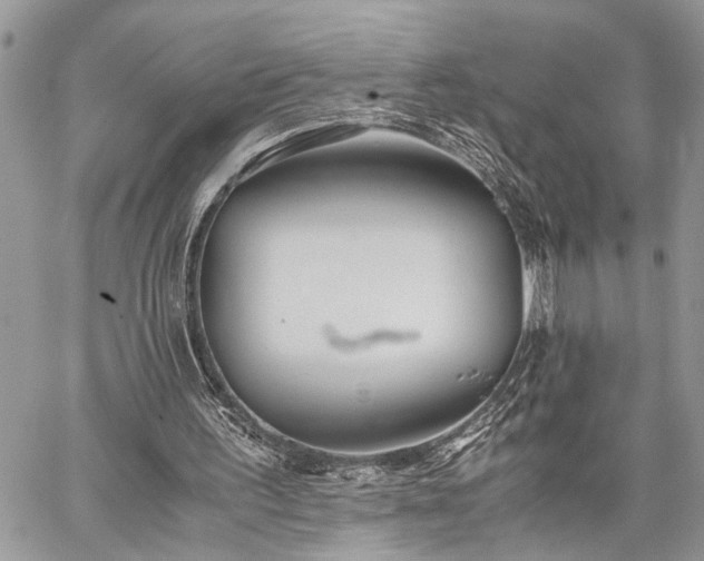 X0000059800195200510211100