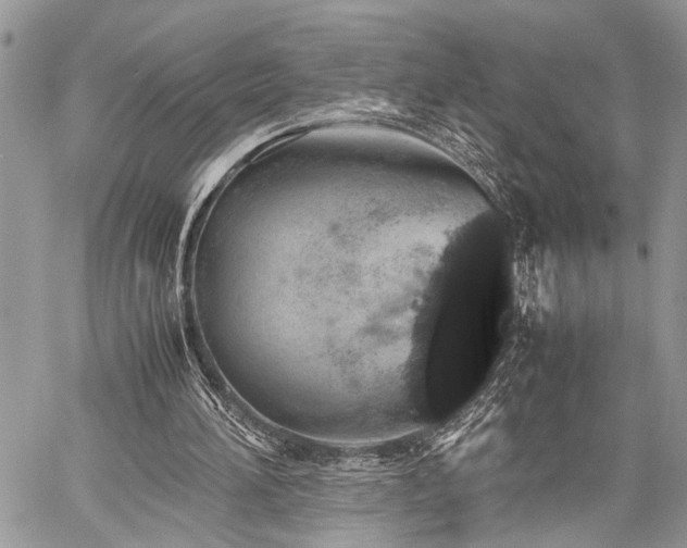 X0000059800196200510211100