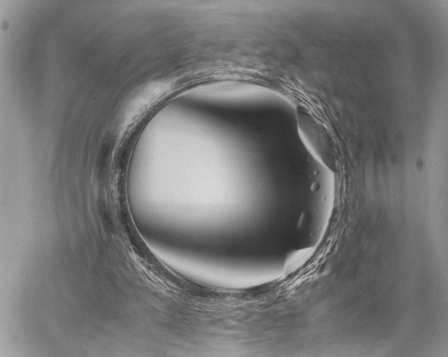 X0000059800197200510211100