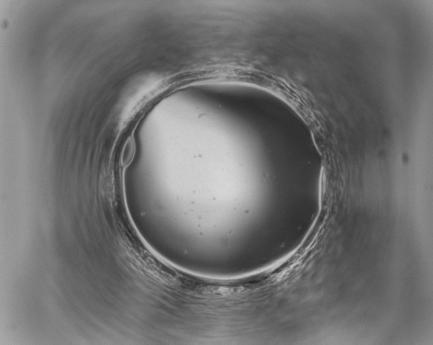 X0000059800198200510211100