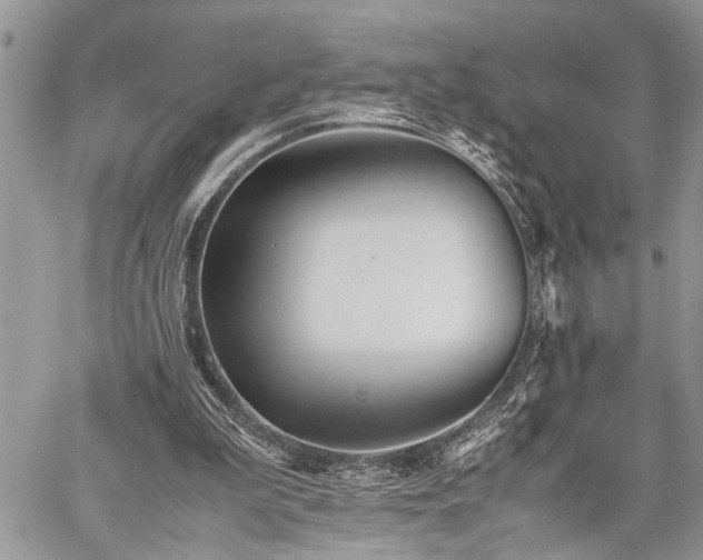 X0000059800199200510211100