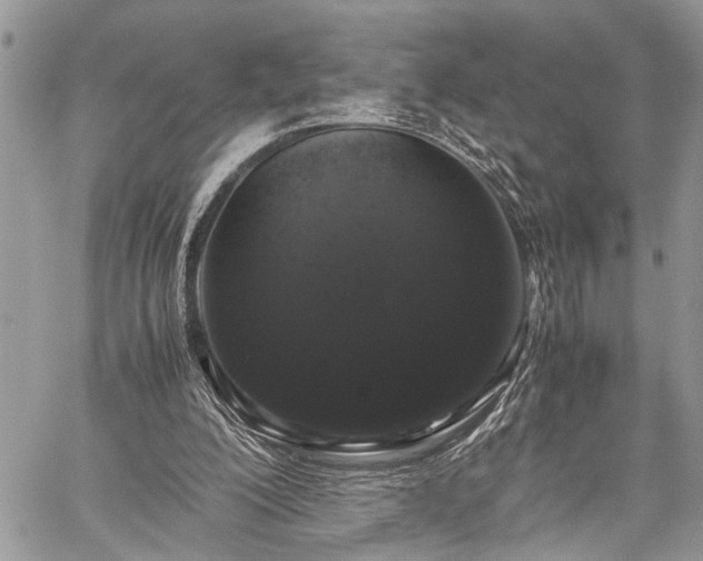 X0000059800200200510211100