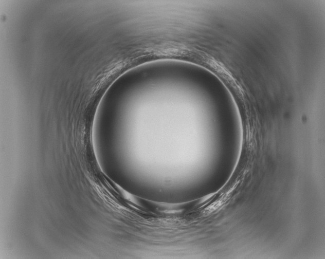 X0000059800201200510211100