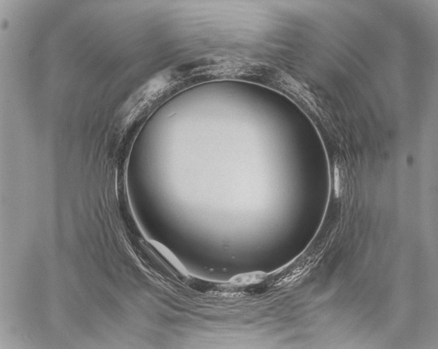 X0000059800205200510211100