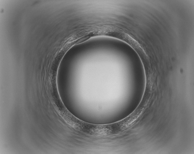 X0000059800209200510211100